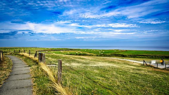 Naturerlebnispfad Langwarder Groden