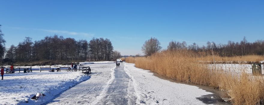 Krimpenerhout