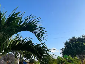 Unidad Deportiva Maderas