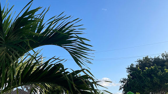 Unidad Deportiva Maderas