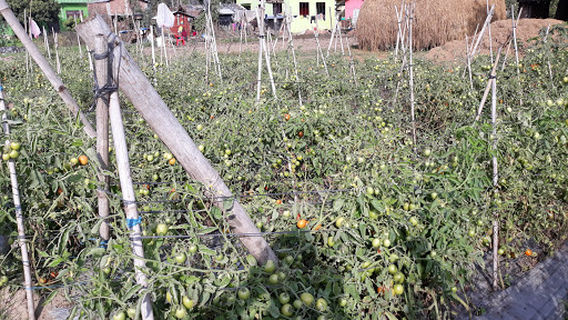 Chitwan