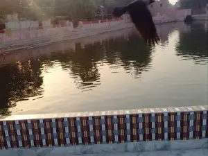 Baba Siddh Temple
