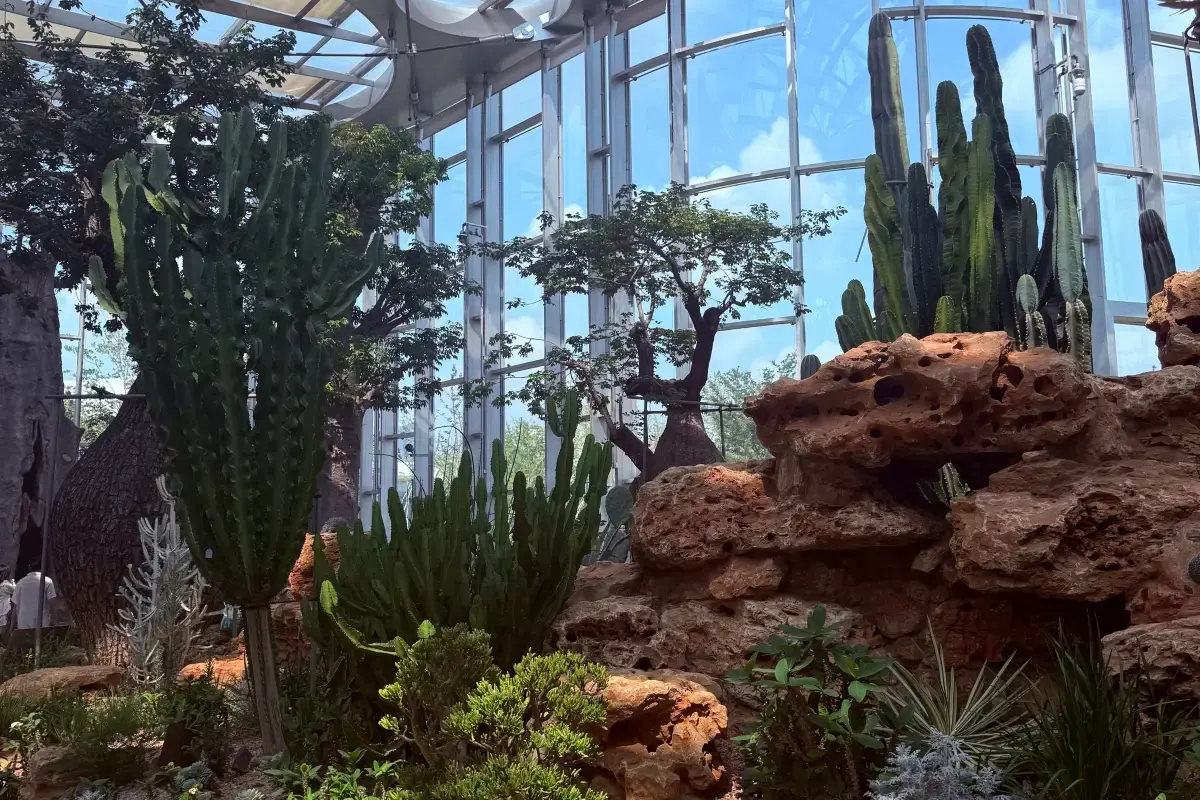 Billet pour la visite nocturne du Shanghai Greenhouse Garden
