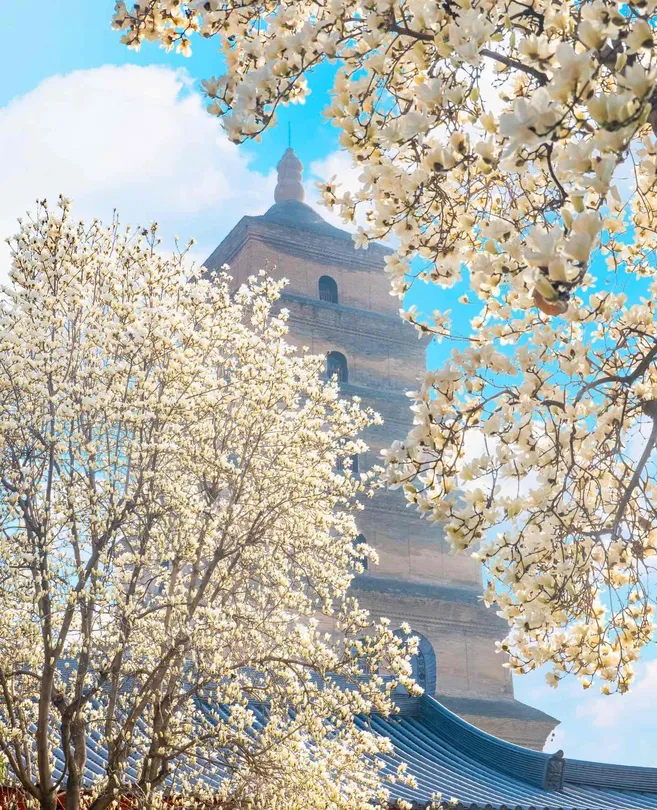 5_Big Wild Goose Pagoda