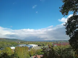 Zamek Królewski