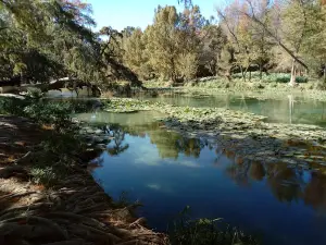 El Charco del Lobo Park