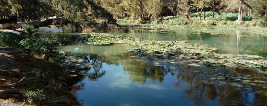 El Charco del Lobo Park