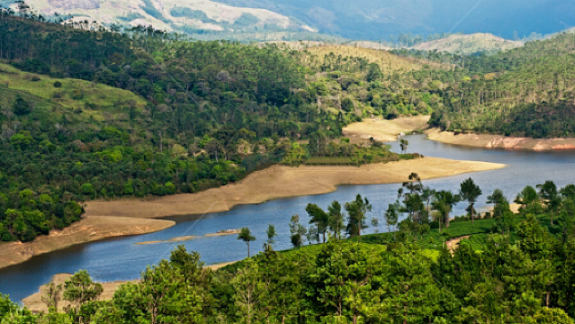 Periyar River