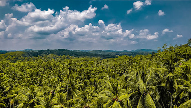 Lenawara Ancient Royal Temple