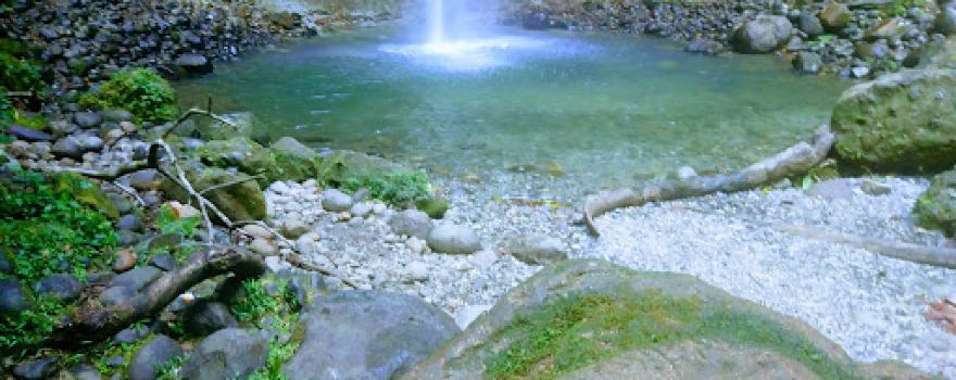 Cascada Hola Vida