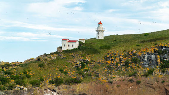 Fort Taiaroa