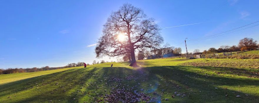 Golf Du Haras