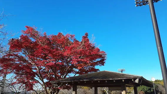 Ibarakimachi Undo Park