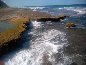 Farallón