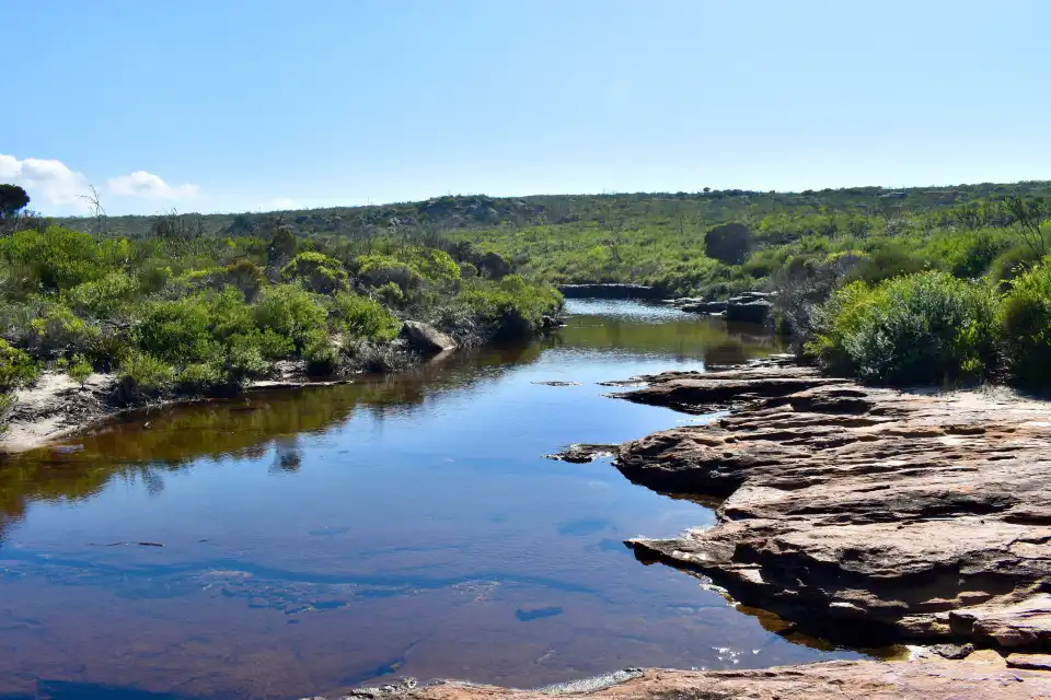 2_Royal National Park