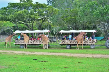 Guanacaste