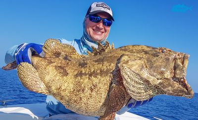 Atoll Fisher