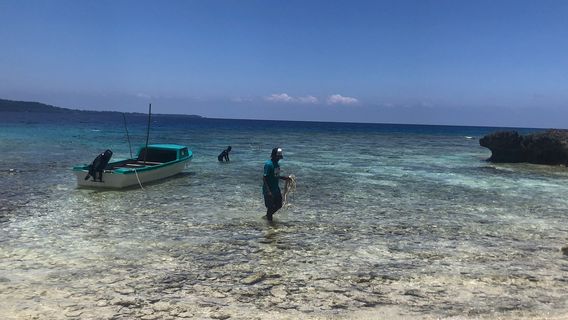 Chief Roi Mata's Domain