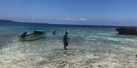 洛伊•瑪塔酋長領地