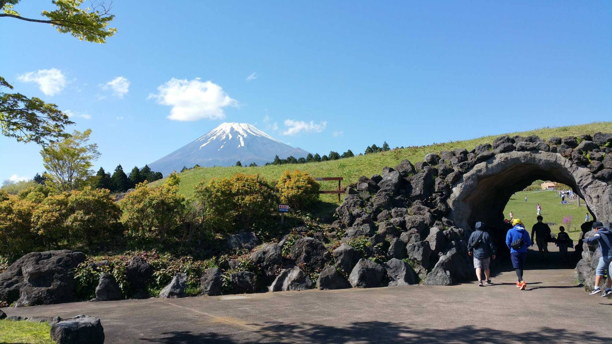 Mt Fuji