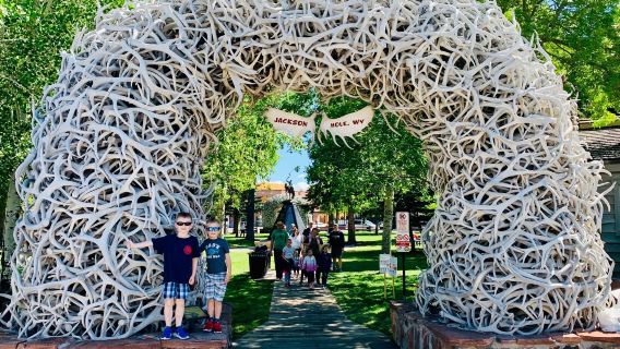 Antler Arches of Jackson