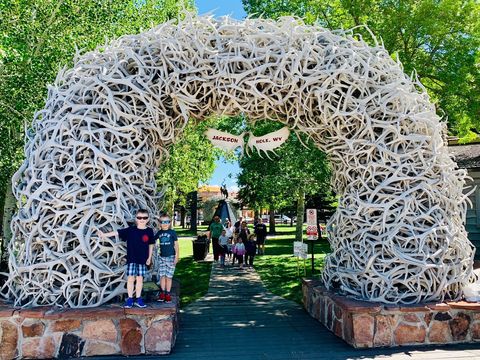 Antler Arches of Jackson