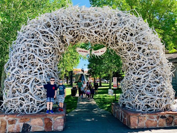 Antler Arches of Jackson