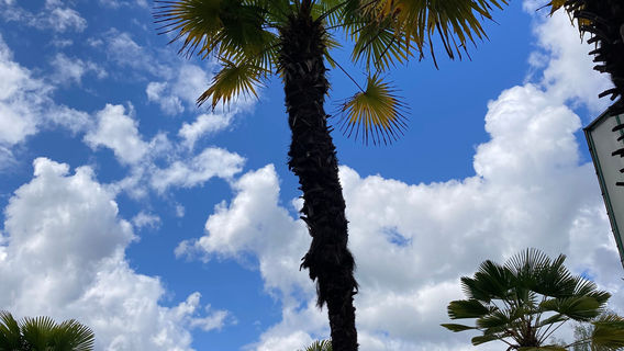 Liberec Botanic Gardens