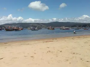 Playa Coliumo