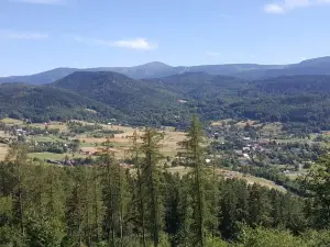 Prince Henryk Castle