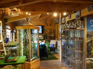 Naturlandia