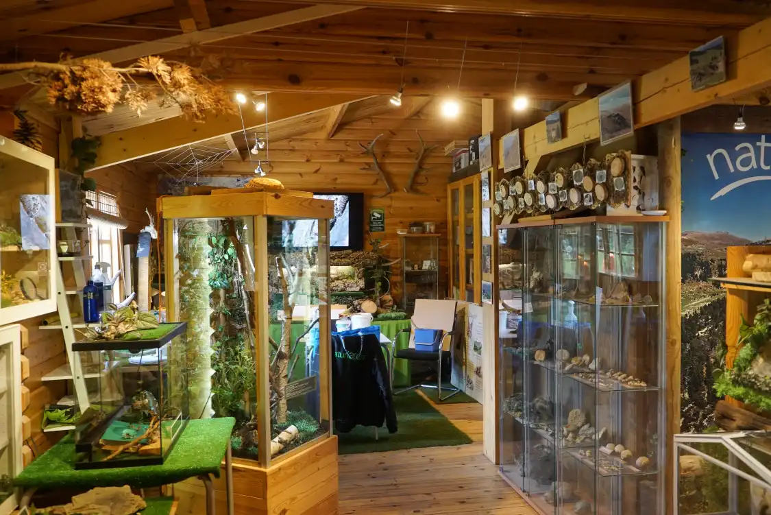 Hotels near Naturlandia