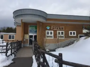 Northern Daichi Aquarium