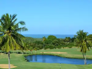 El Conquistador Golf Course