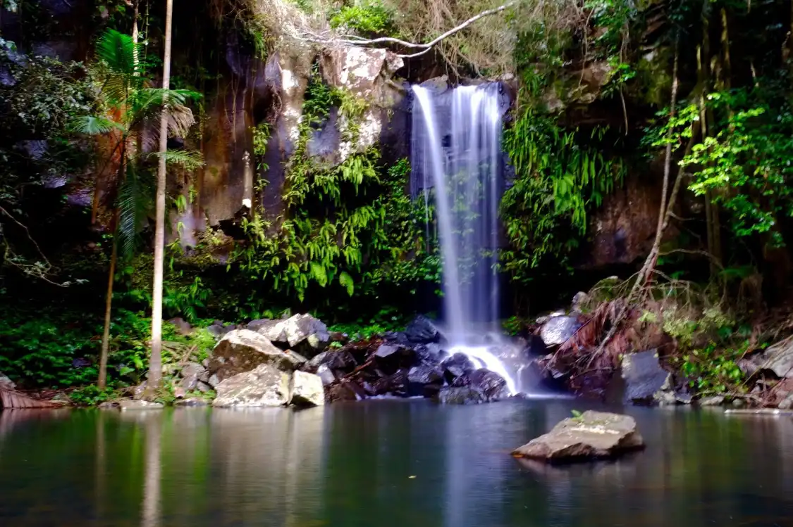 Hotels near Curtis Falls