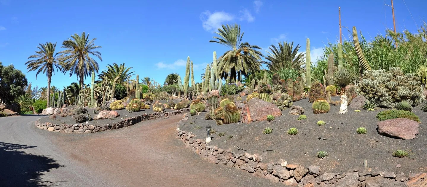 2_Fuerteventura Botanical Garden