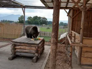 Zoo Kontakt