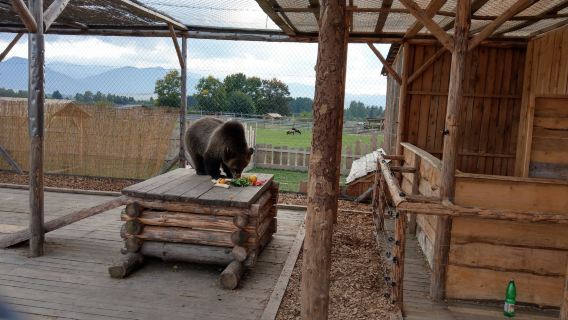 Zoo Kontakt