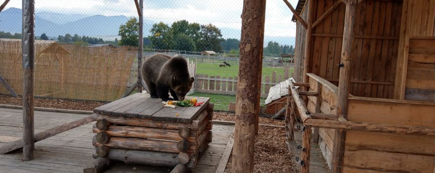 Zoo Kontakt