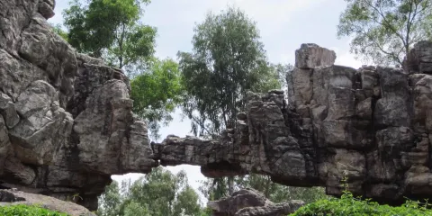 Rock Garden