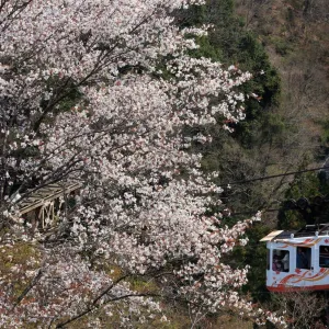 吉野山空中纜車