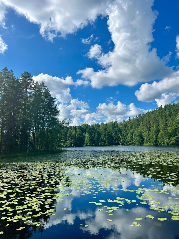 5_Nuuksio National Park