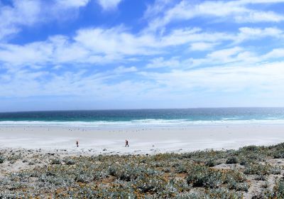 Saunders Island