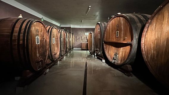 Barolo