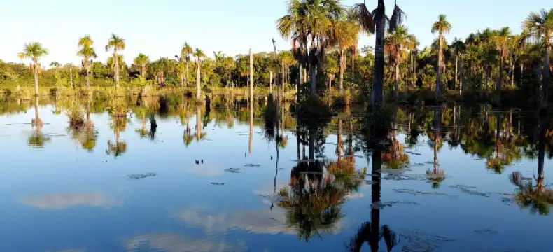 ノブレスのホテル