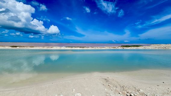 Rio Lagartos