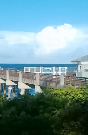 Hotels in Juno Beach