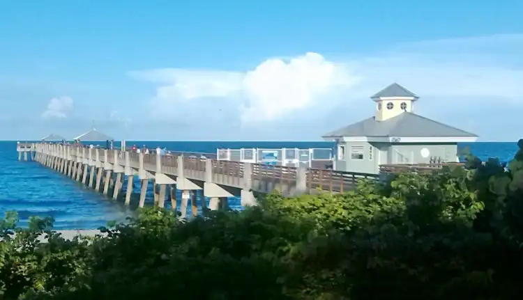 Hotels in Juno Beach