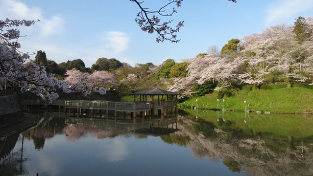 Shimizu Funakoshi Zutsumi Park
