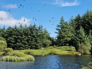 Bwlch Nant yr Arian Forest Visitor Centre